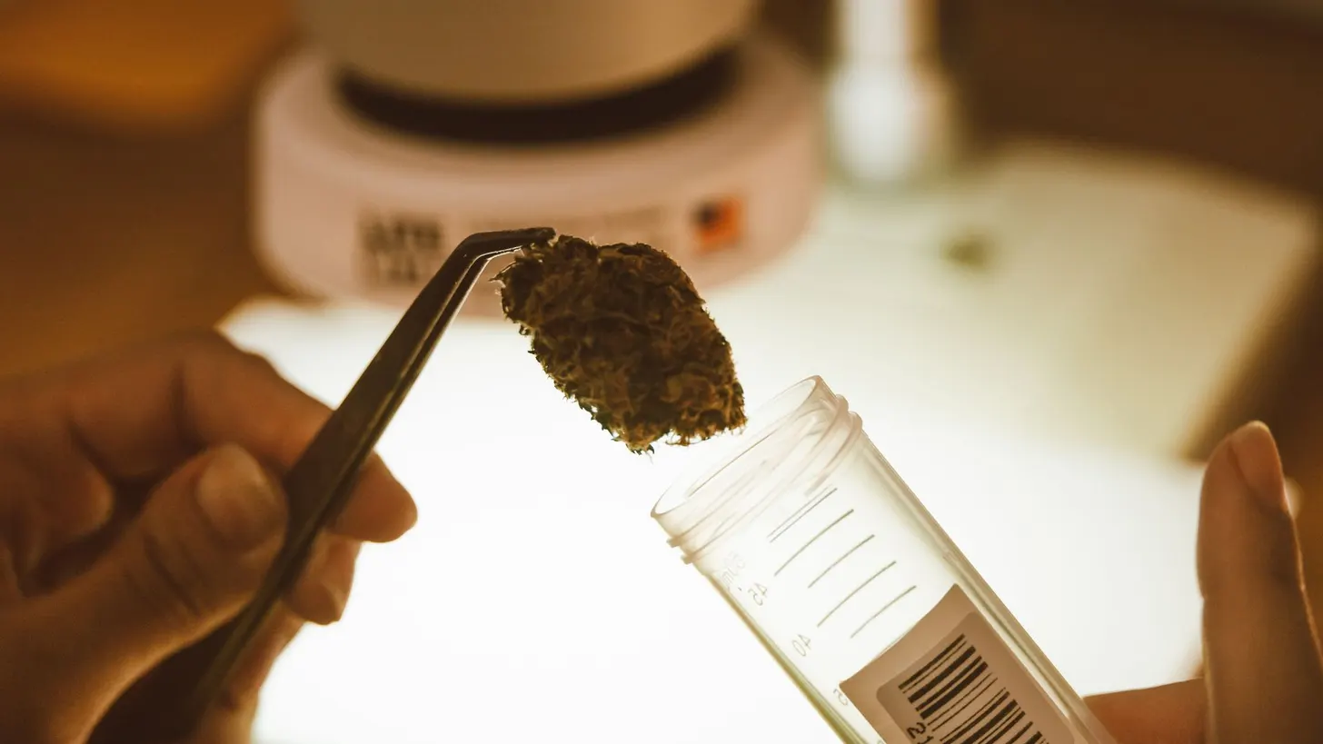 How to read a hemp gummy COA: the lab test guide for smart buyers — GummyGurl