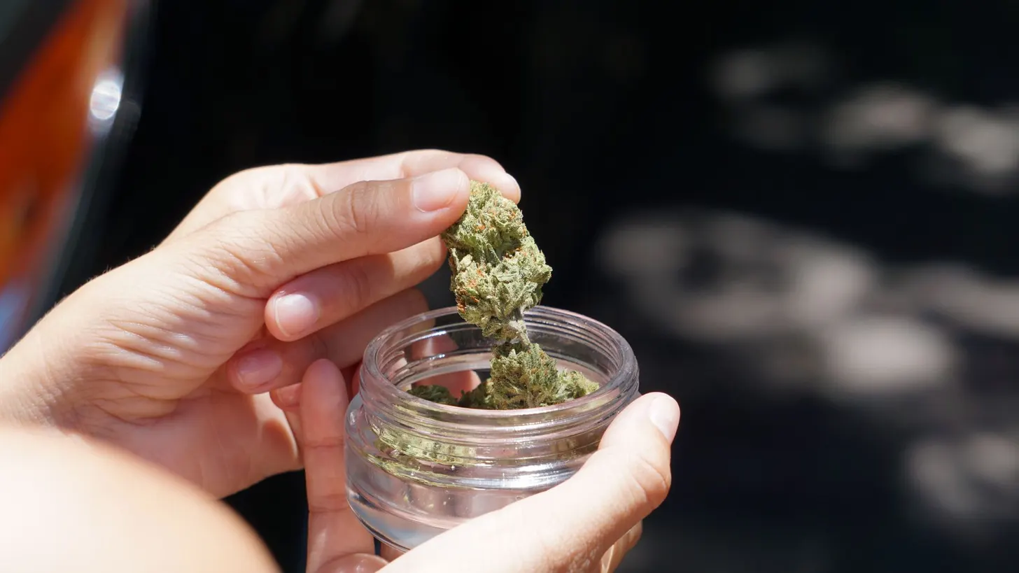 What is THCA? The hemp cannabinoid that becomes THC when heated — GummyGurl